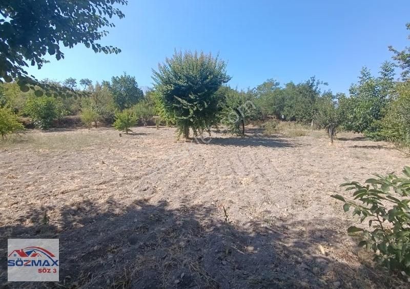 Hacılar Yukarda İmara Girmiş 1215 Metre Satılık Bağ - Görsel 6