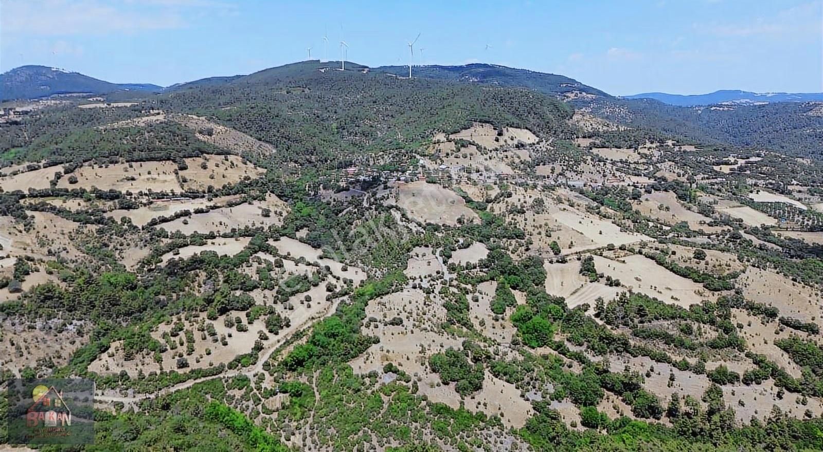 Lapseki Yaylalar'da Büyük Uygun Tarla Fırsat Fiyat - Görsel 16