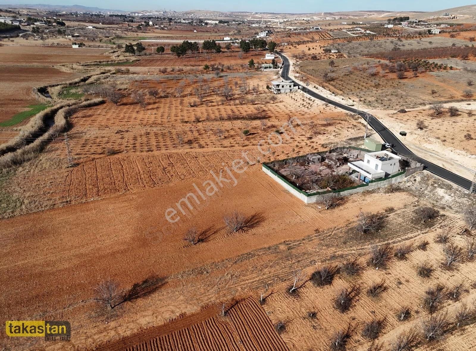 Suboğazı Bedirköy Arası Asfalt Üstü Tektapu Herşeyi Hazır Bağevi - Görsel 2