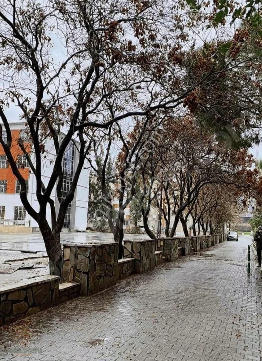 Doğa Dostu'ndan Karşıyaka Ortaokulu Yanı Geniş 3+1 - Görsel 31