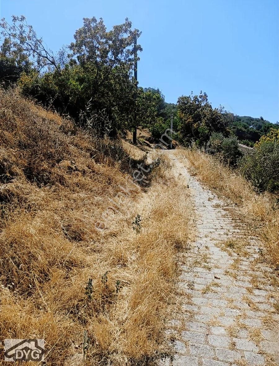 Satılık 2 Adet Daire Tek Tapu Tek Fiyat - Görsel 12