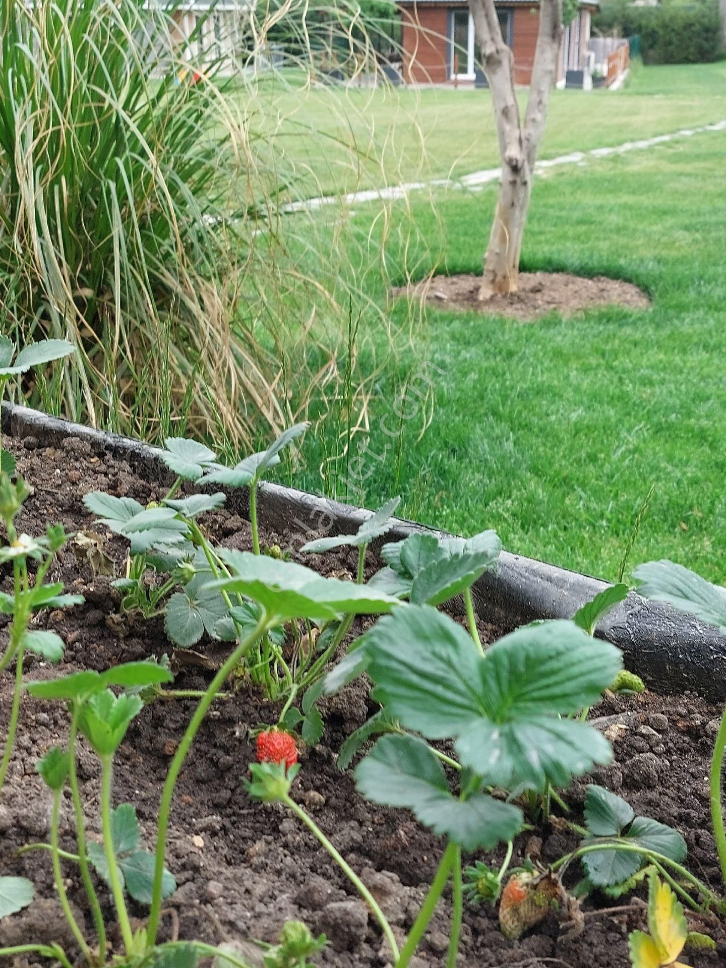Doğa Ve Yeşillik İçinde İstanbul'dan En Kolay Lokasyonu - Görsel 12