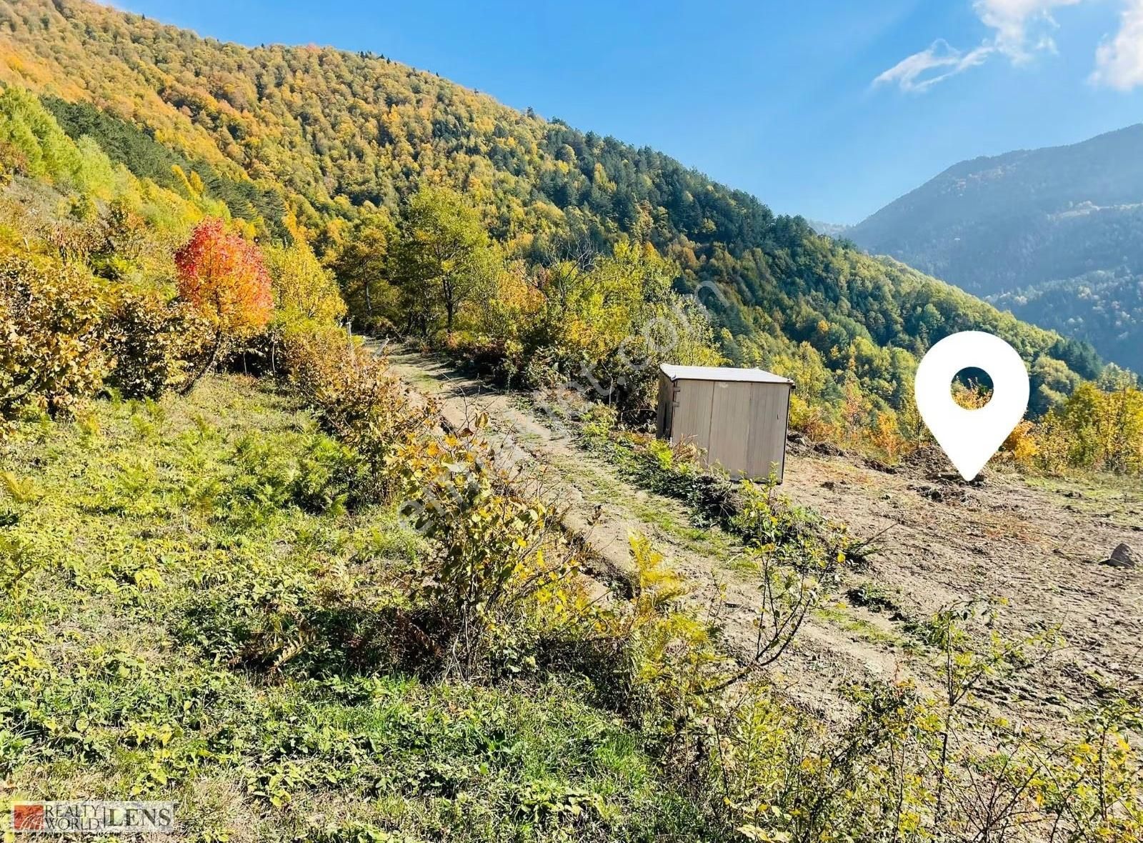 Sakarya Geyve Belpınarda Orman Manzaralı, Konteynerli Arazi - Görsel 3