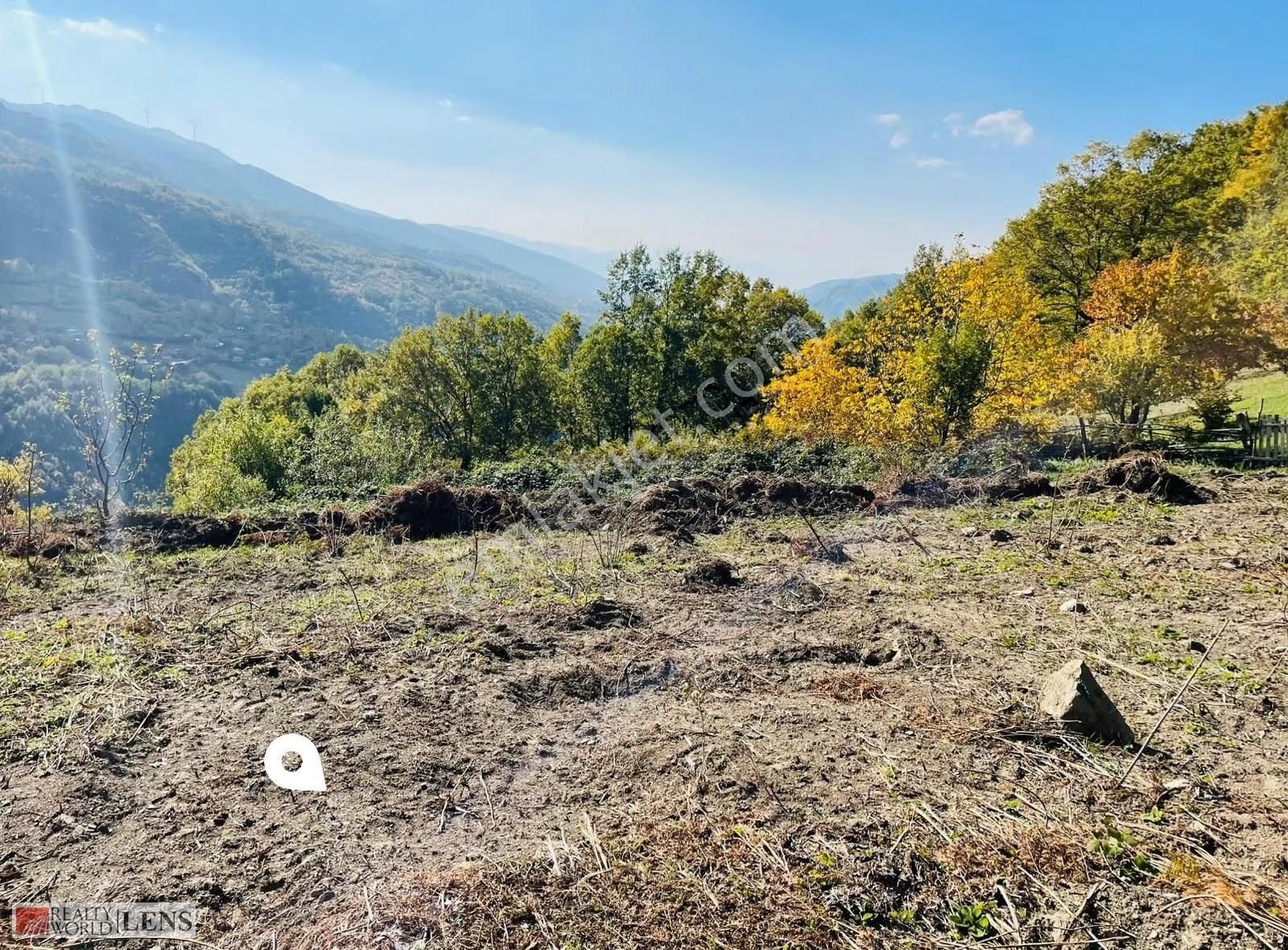 Sakarya Geyve Belpınarda Orman Manzaralı, Konteynerli Arazi - Görsel 6