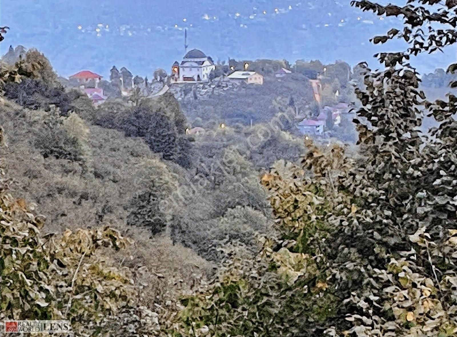 Gölyaka Saçmalıpınar Köyünde 1371 M2 Fındık Tarlası - Görsel 22