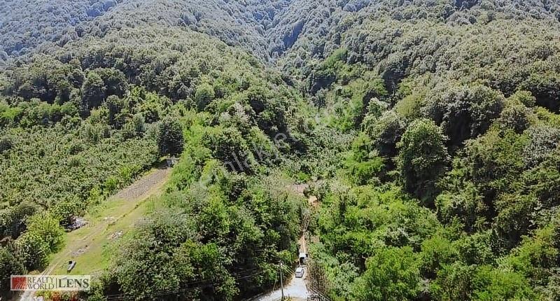 Arifiye Boğazköy Mahallesinde Satılık Arsa - Görsel 9
