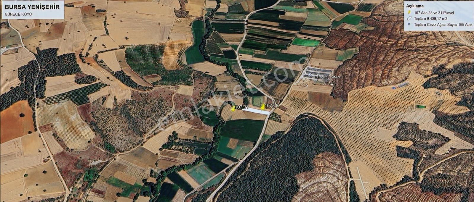 Beynil'den Bursa Yenişehir Günece Köyü'nde 9438 M2 Satılık Tarla