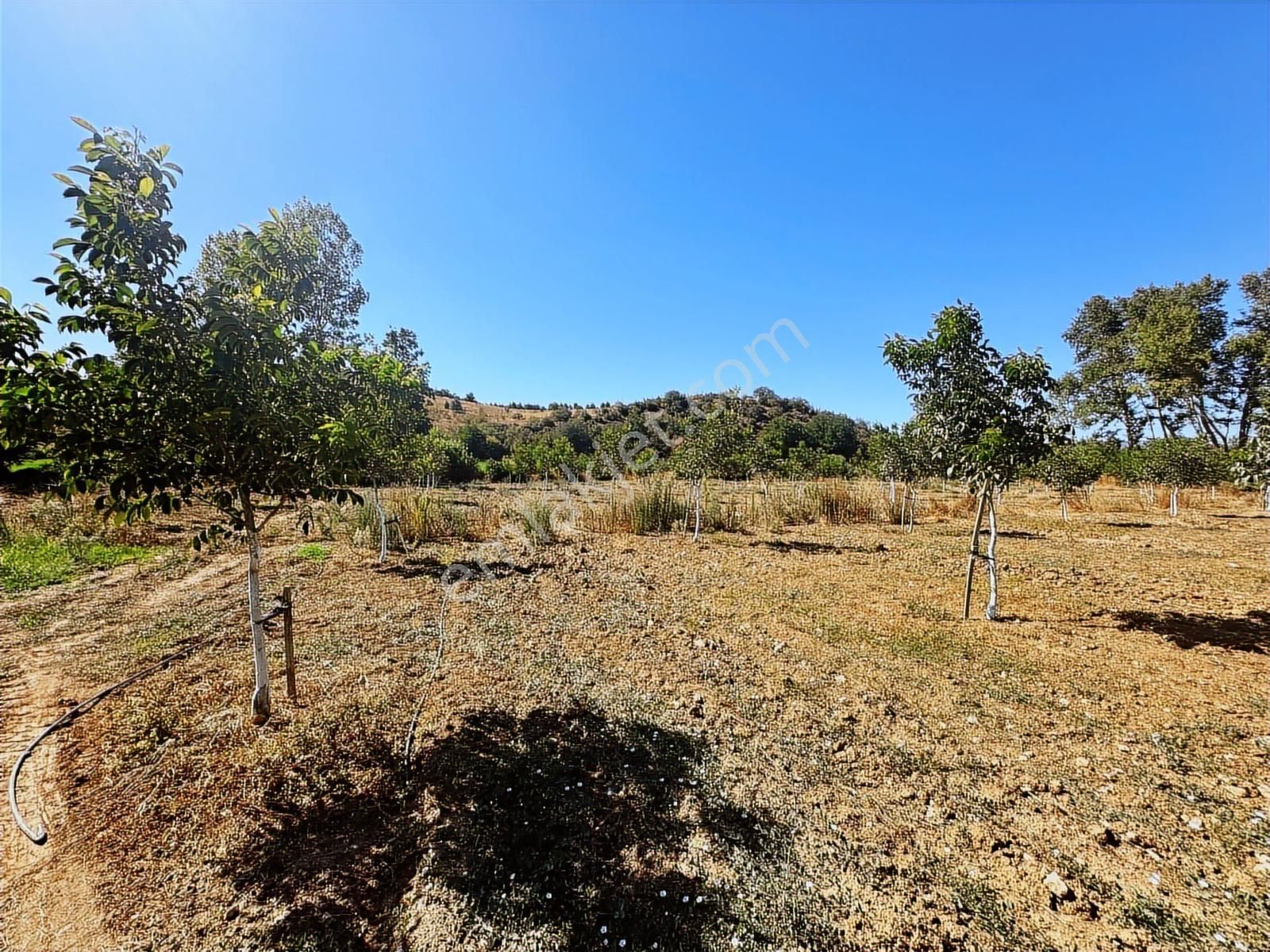 Beynil'den Bursa Yenişehir Günece Köyü'nde 9438 M2 Satılık Tarla - Görsel 30