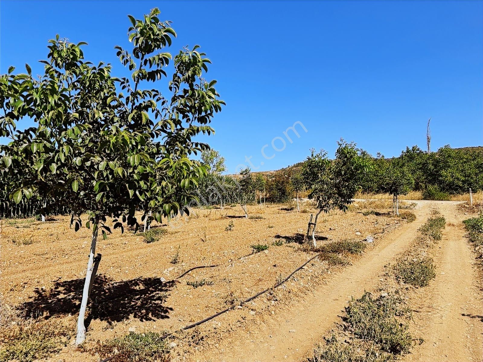 Beynil'den Bursa Yenişehir Günece Köyü'nde 9438 M2 Satılık Tarla - Görsel 19