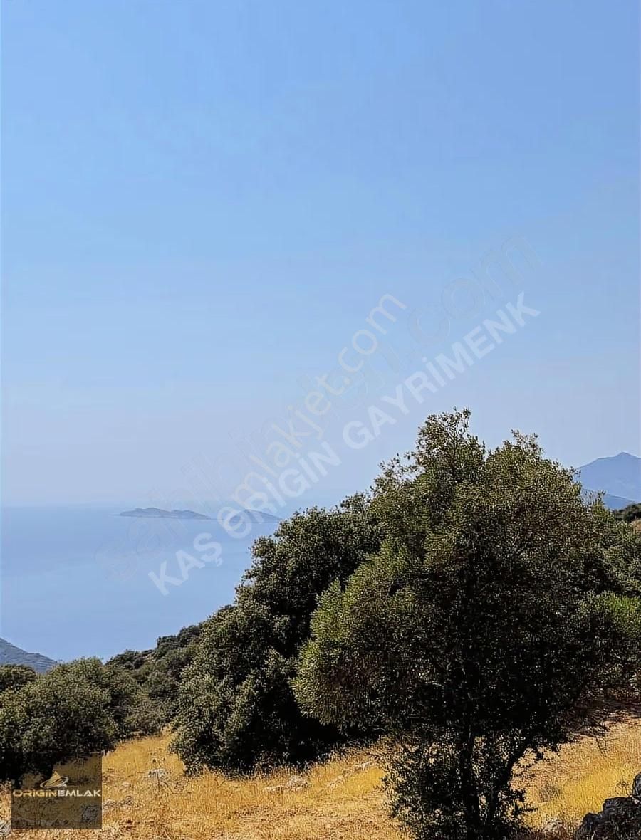 3608 M² Panoramik Deniz Manzaralı Müstakil Tapu - Görsel 5