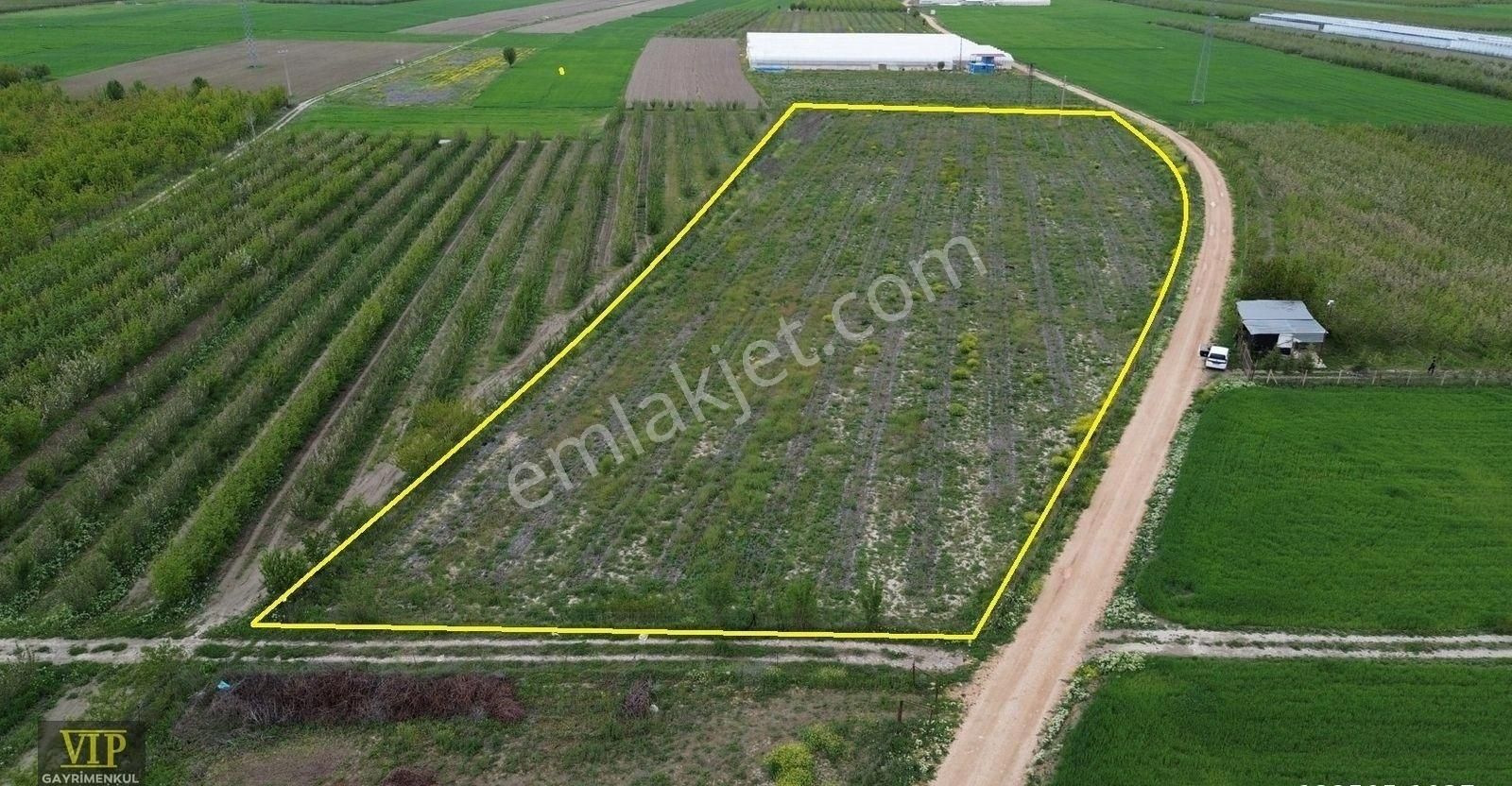 Vıp Gayrimenkul'den Düdenköy Mah. Muhteşem Konumda Elma Bahçesi - Görsel 2