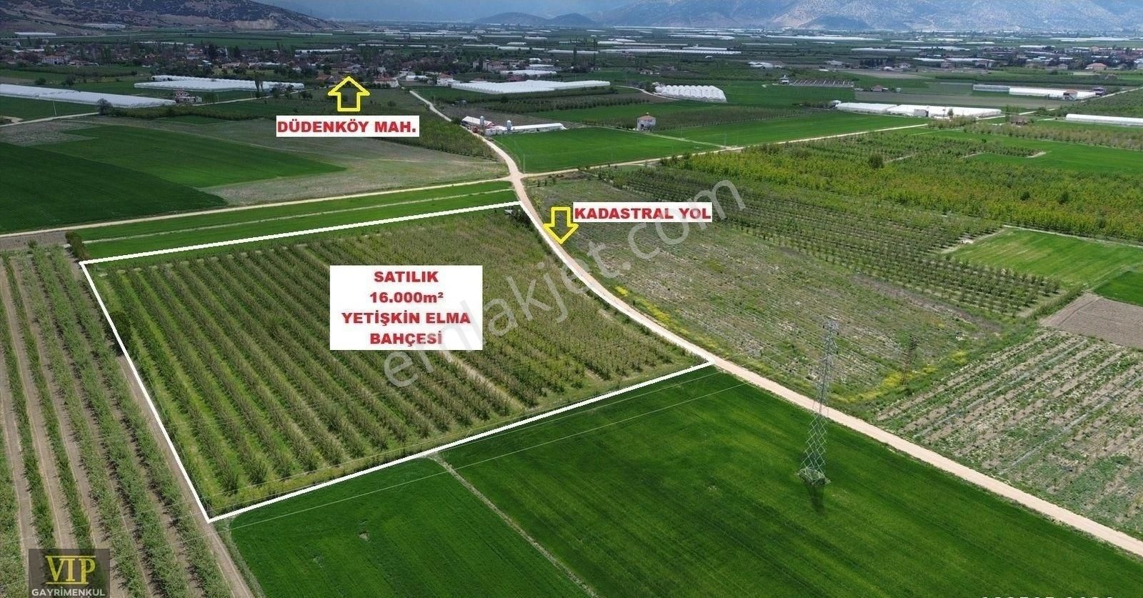 Vıp Gayrimenkul'den Düdenköy Mah. En İyi Lokasyonda Elma Bahçesi - Görsel 12