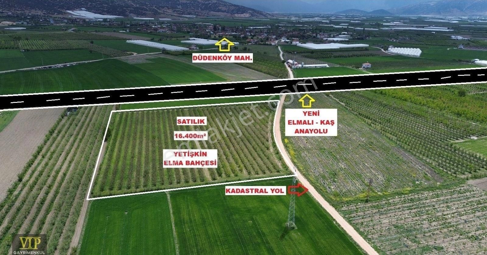 Vıp Gayrimenkul'den Düdenköy Mah. En İyi Lokasyonda Elma Bahçesi - Görsel 4