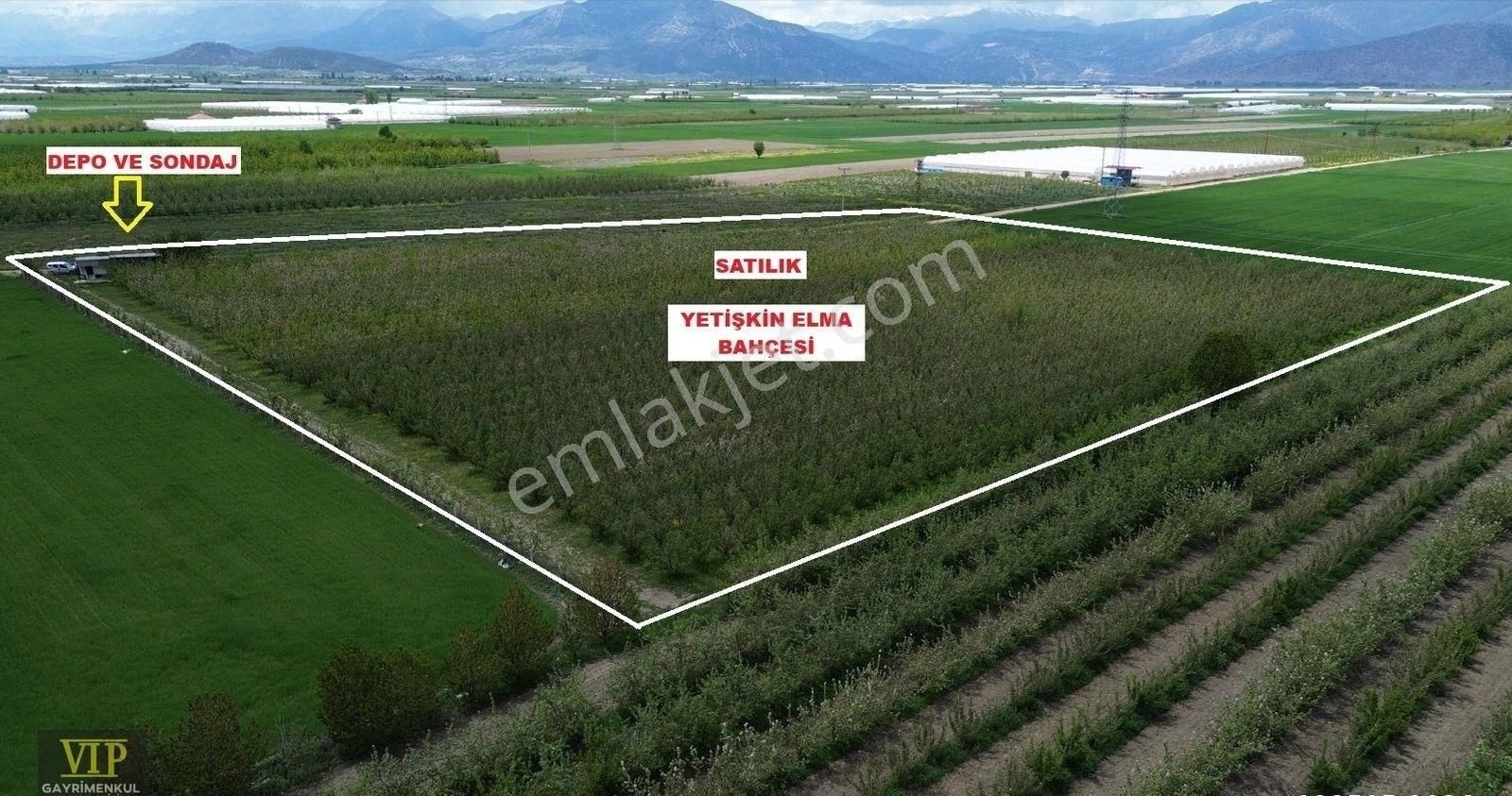 Vıp Gayrimenkul'den Düdenköy Mah. En İyi Lokasyonda Elma Bahçesi - Görsel 7