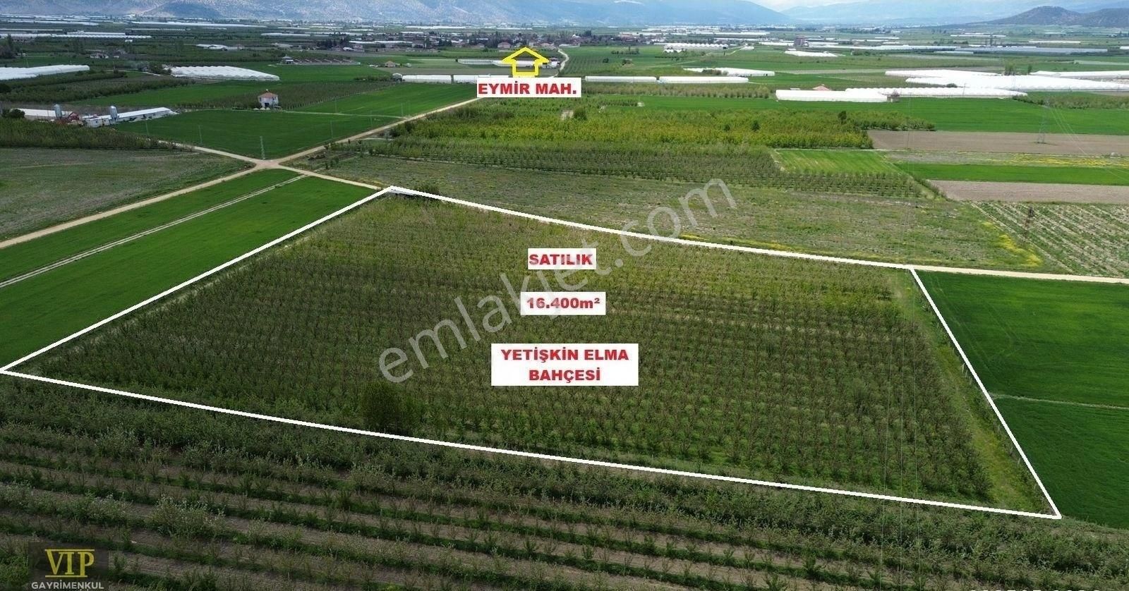 Vıp Gayrimenkul'den Düdenköy Mah. En İyi Lokasyonda Elma Bahçesi - Görsel 5