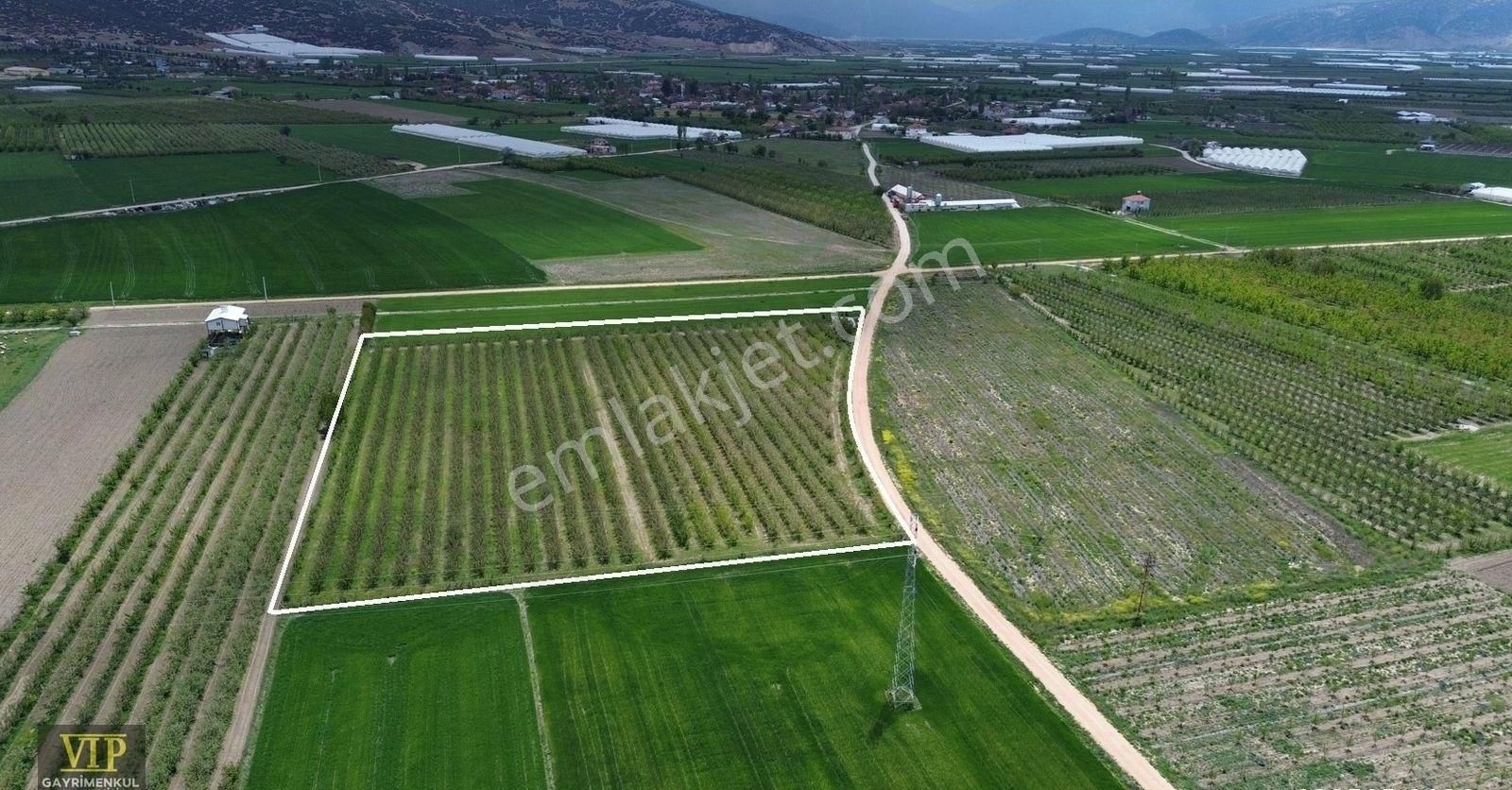 Vıp Gayrimenkul'den Düdenköy Mah. En İyi Lokasyonda Elma Bahçesi - Görsel 10