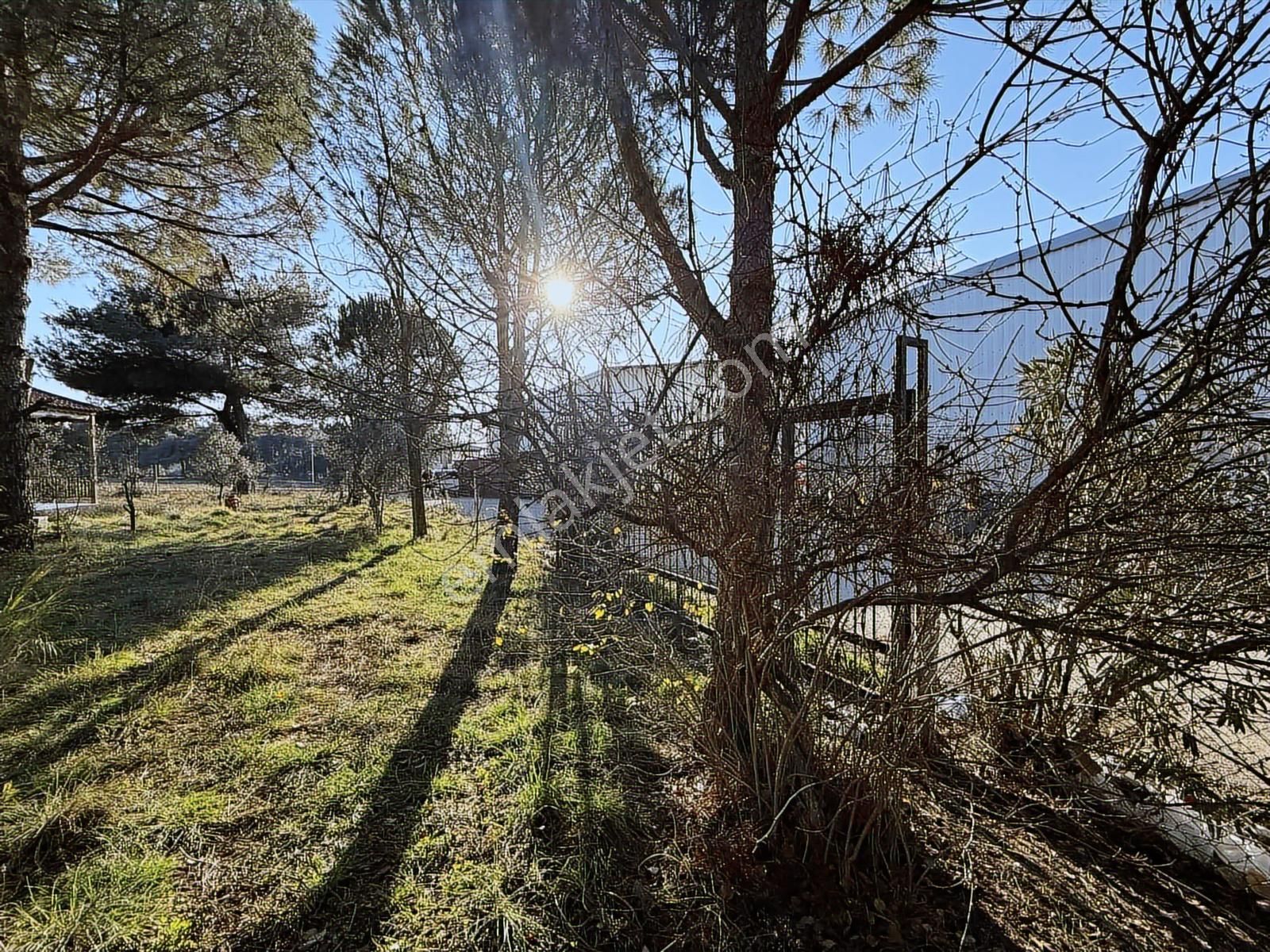 Kaynaklar 29 Ekim | 4.744 M² | 3 Cephe | Otobana Yakın - Görsel 13