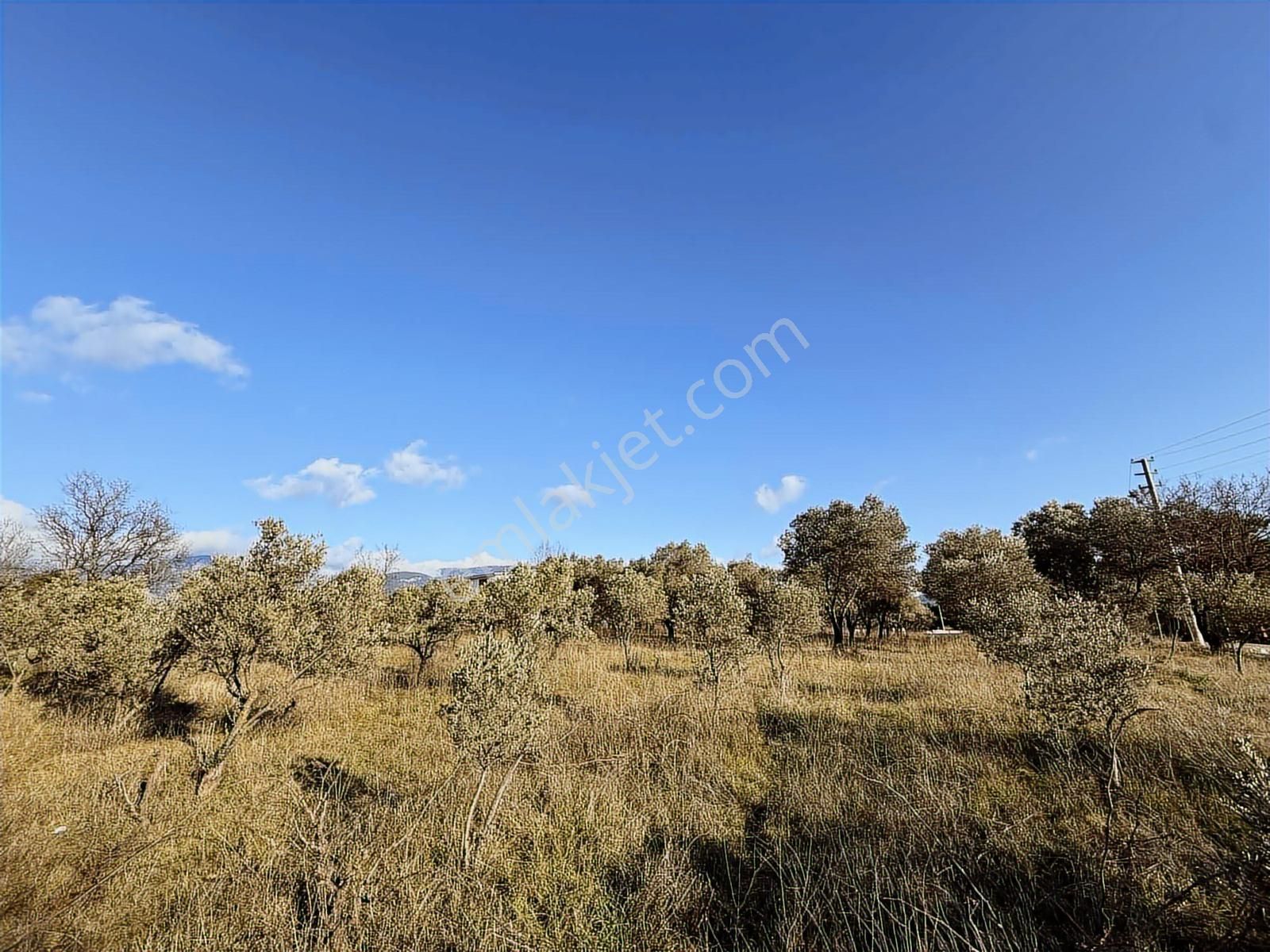 Kaynaklar 29 Ekim | 4.744 M² | 3 Cephe | Otobana Yakın - Görsel 4