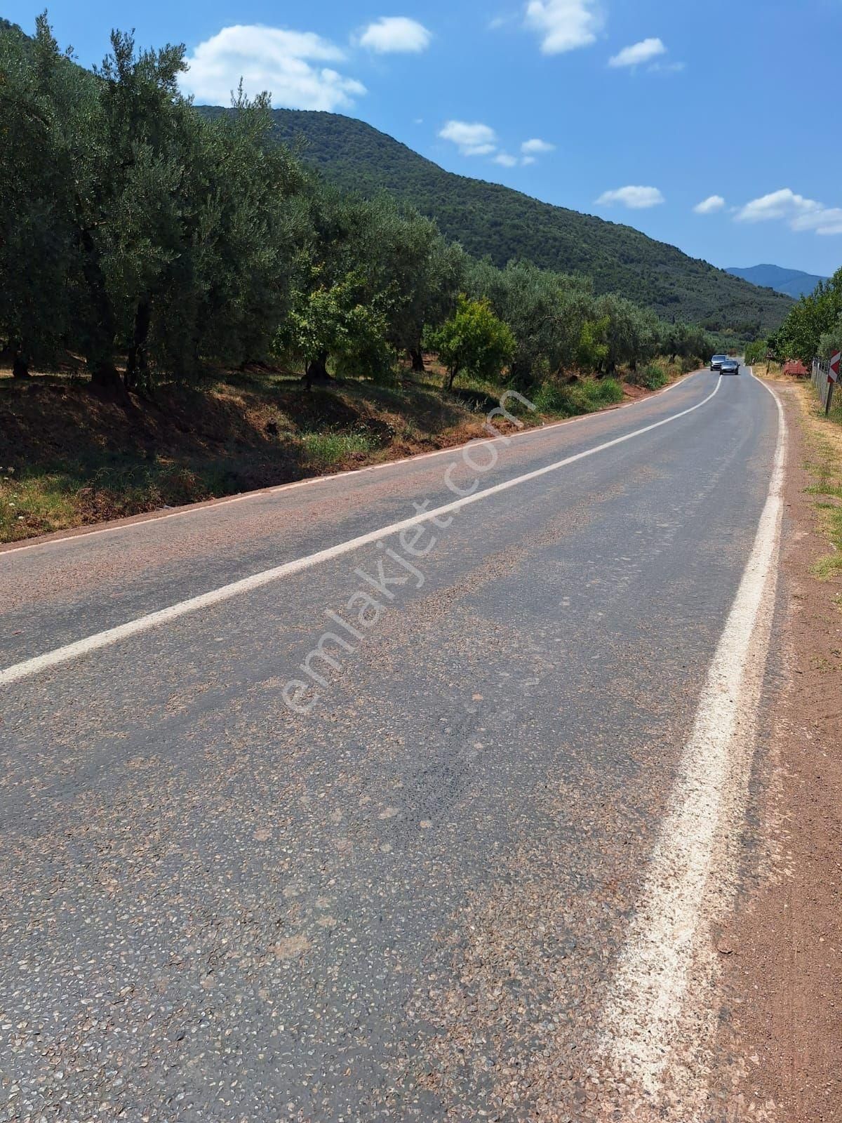 Bursa Orhangazi Narlıca'da Satılık 1200 - Görsel 4