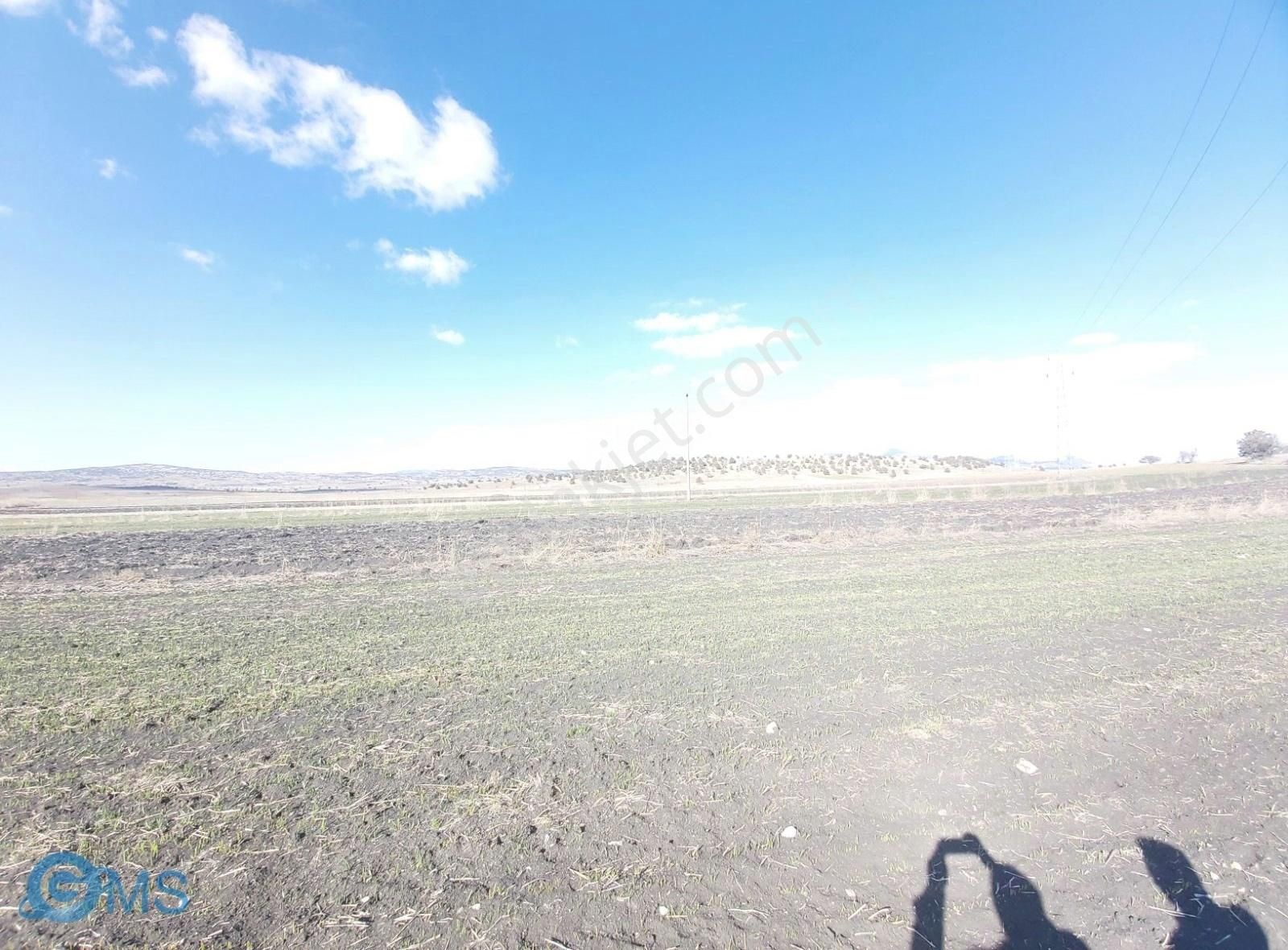 Burdur Merkez Yassıgümede 6130m2 Tek Tapu Yolu Var Uygun Fiyat - Görsel 8