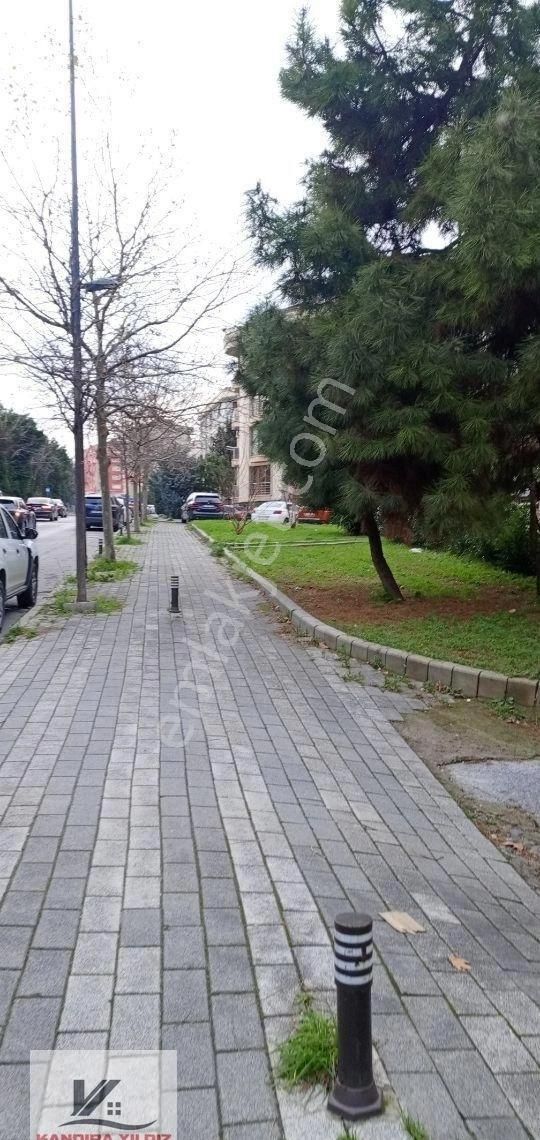 Üsküdar Cumhuriyet Mh 119 M2 6 Daire Veya 400 M2 İşyeri Arsası - Görsel 33
