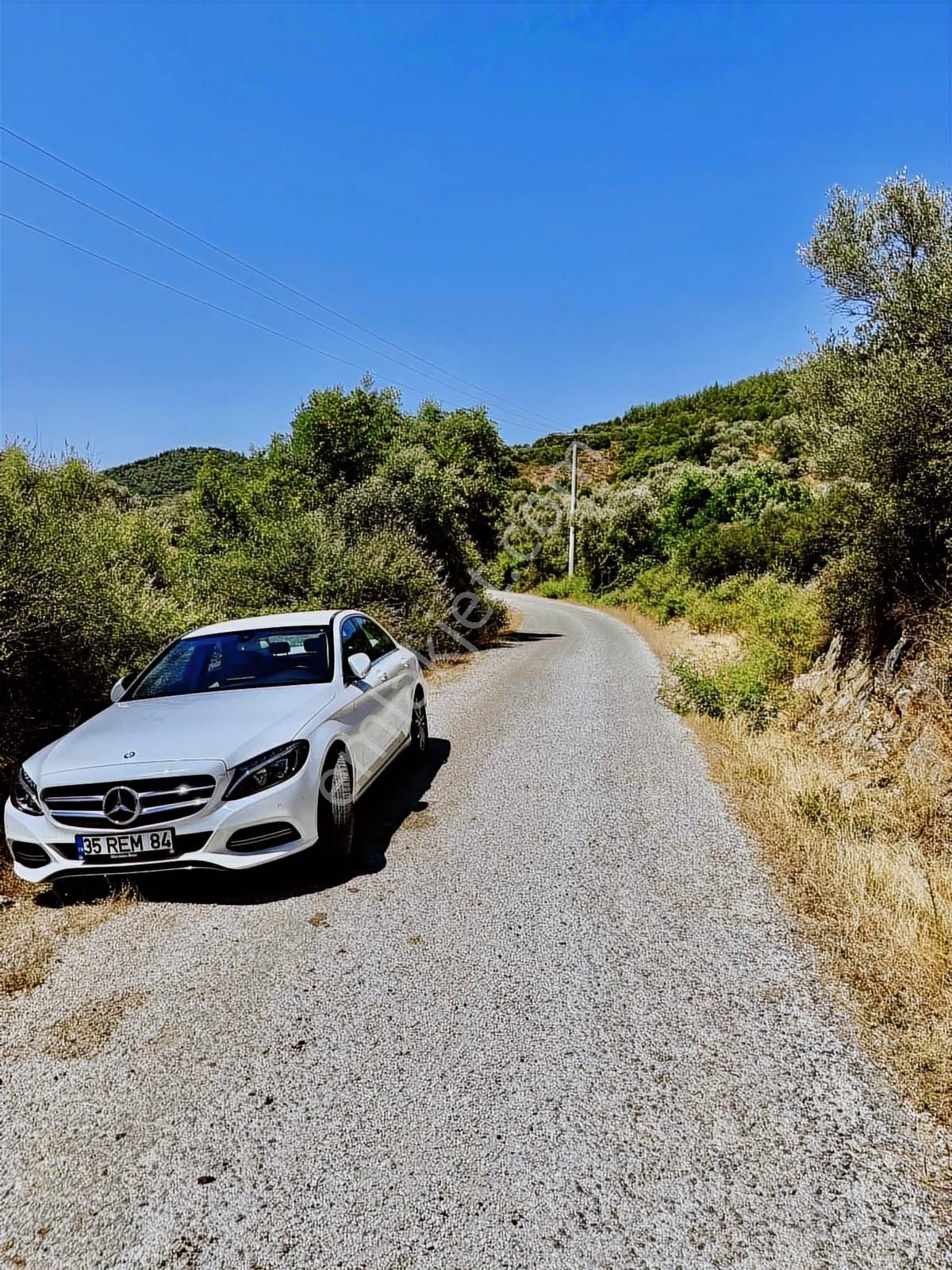 İlhan Rodoplu'dan Taşkesik'te 14.500 M2 Asfalt Üzeri Zeytinlik