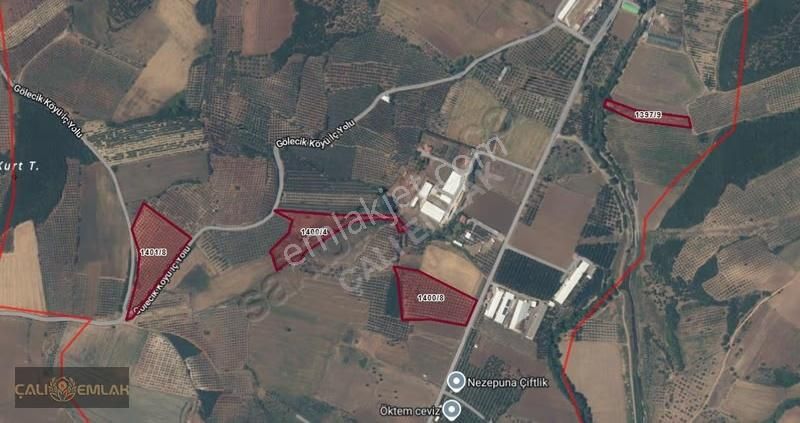 Bursa Karacabey Gölecikte Köye Yakın Satılık Zeytinlik Tarla - Görsel 2