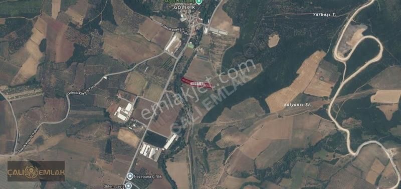 Bursa Karacabey Gölecikte Köye Yakın Satılık Zeytinlik Tarla - Görsel 3