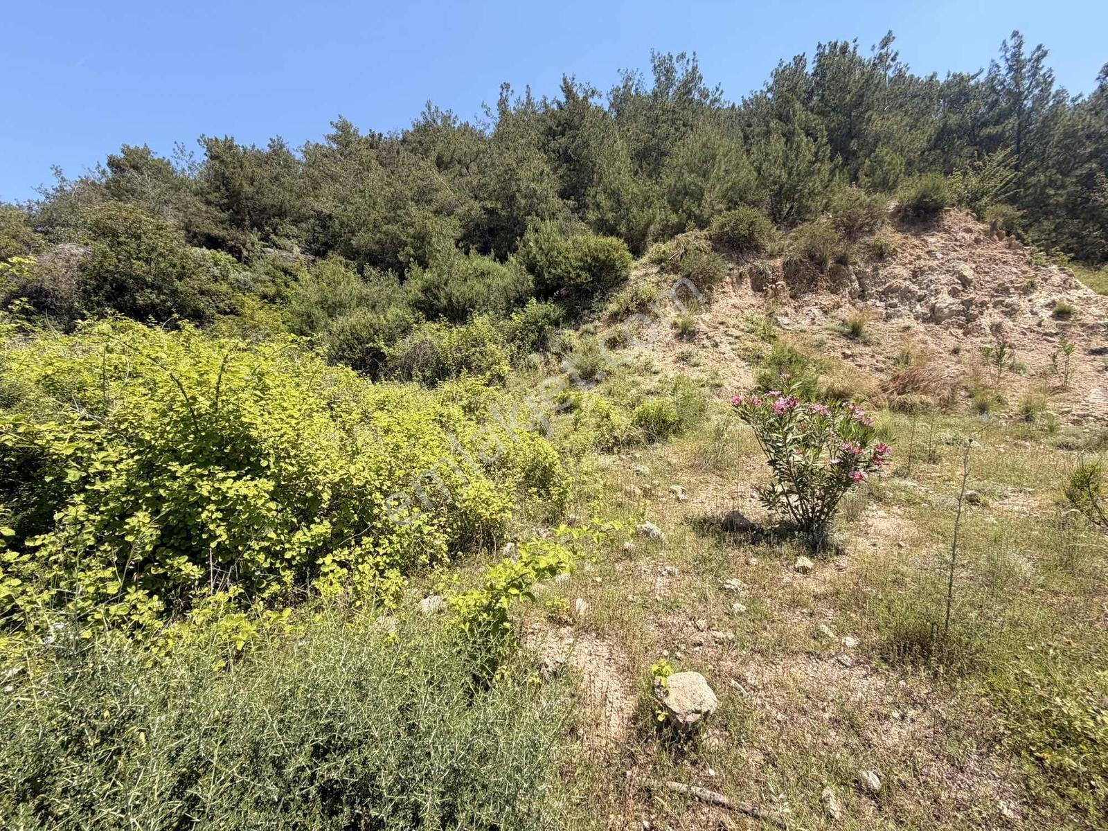 Baraj Manzaralı Yol Su Elektrik Sorunu Olmayan Süper Arsa - Görsel 3