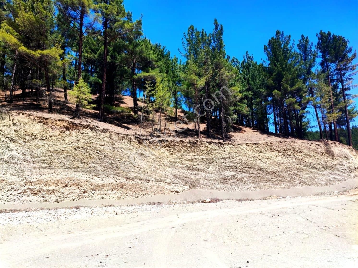 Kar Emlaktan Yenikonacıkta Efes Sitesi Yanı Çevre Duvarı Yapılmış 400 M2 Satılık Arsa - Görsel 7