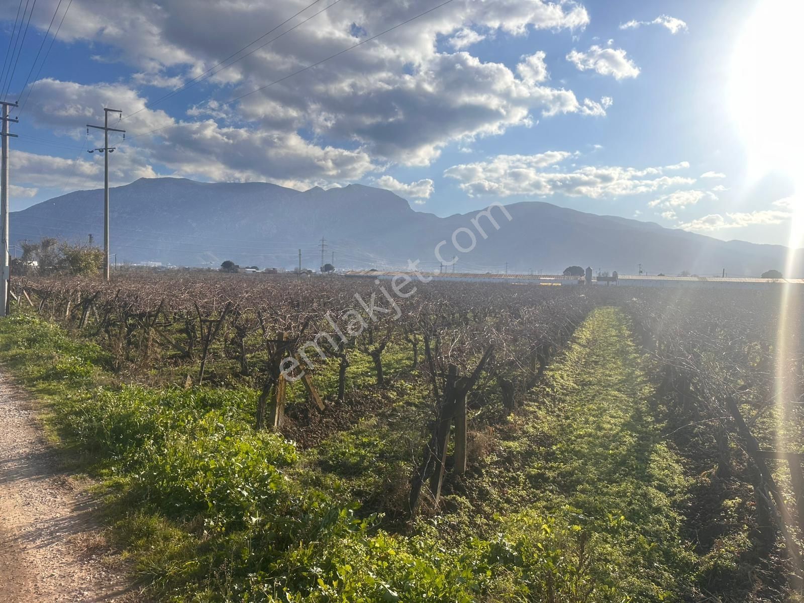 Rw-fly Dan Güzelköyde Mükemmel Konumda 8622 M2 Satılık Bağ - Görsel 8