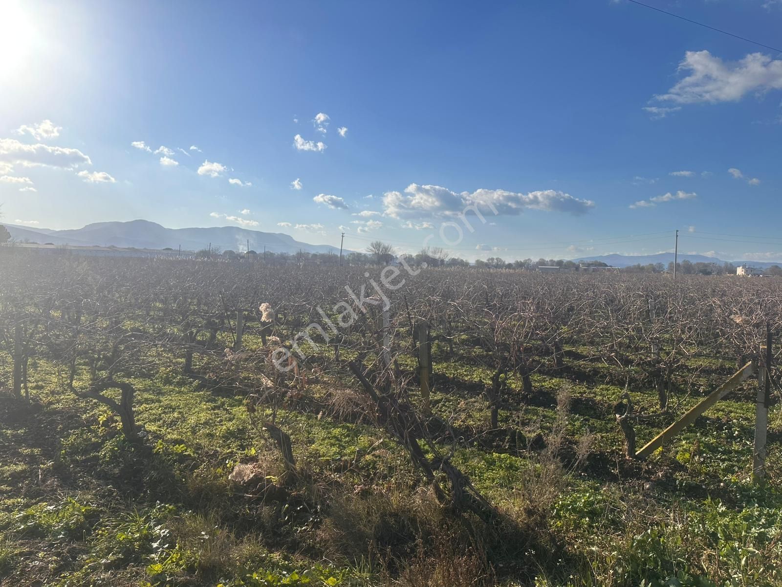 Rw-fly Dan Güzelköyde Mükemmel Konumda 8622 M2 Satılık Bağ - Görsel 9