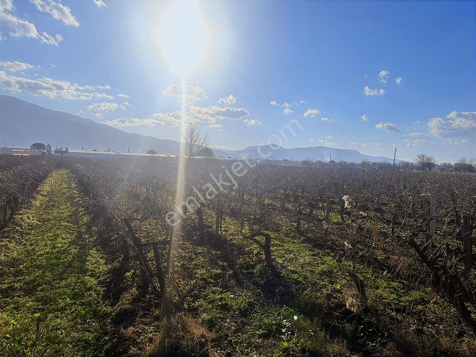 Rw-fly Dan Güzelköyde Mükemmel Konumda 8622 M2 Satılık Bağ - Görsel 4