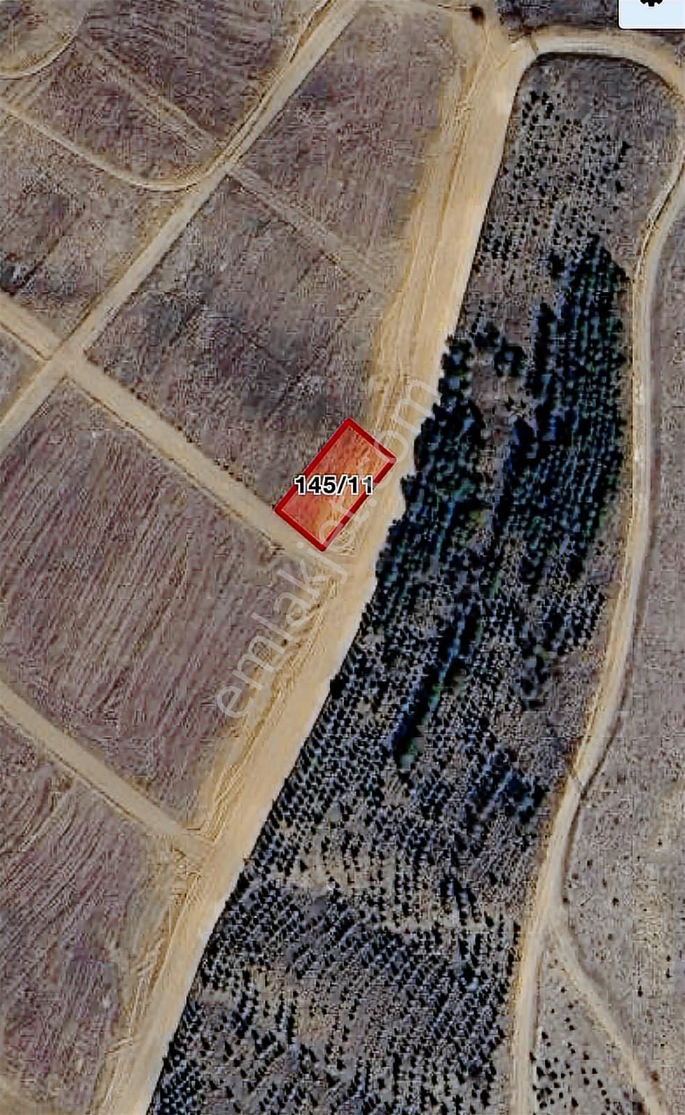 Rw-fly Dan Ankara K.kazanda İmar Planı İçerisinde Sat. Tarlalar - Görsel 3