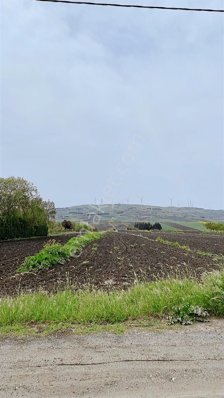 Silivri Çeltik'de Köye Yakın Çaplı Muvafakatnameli Tarla - Görsel 5