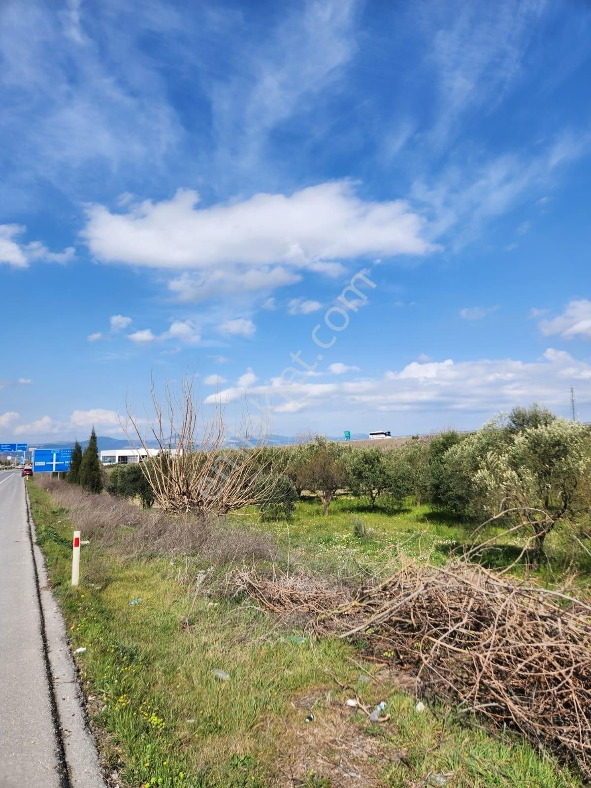 Kırkağaç Bakır Da Turizm İmarlı Ana Yol Üzerinde Fırsat Arazi - Görsel 8
