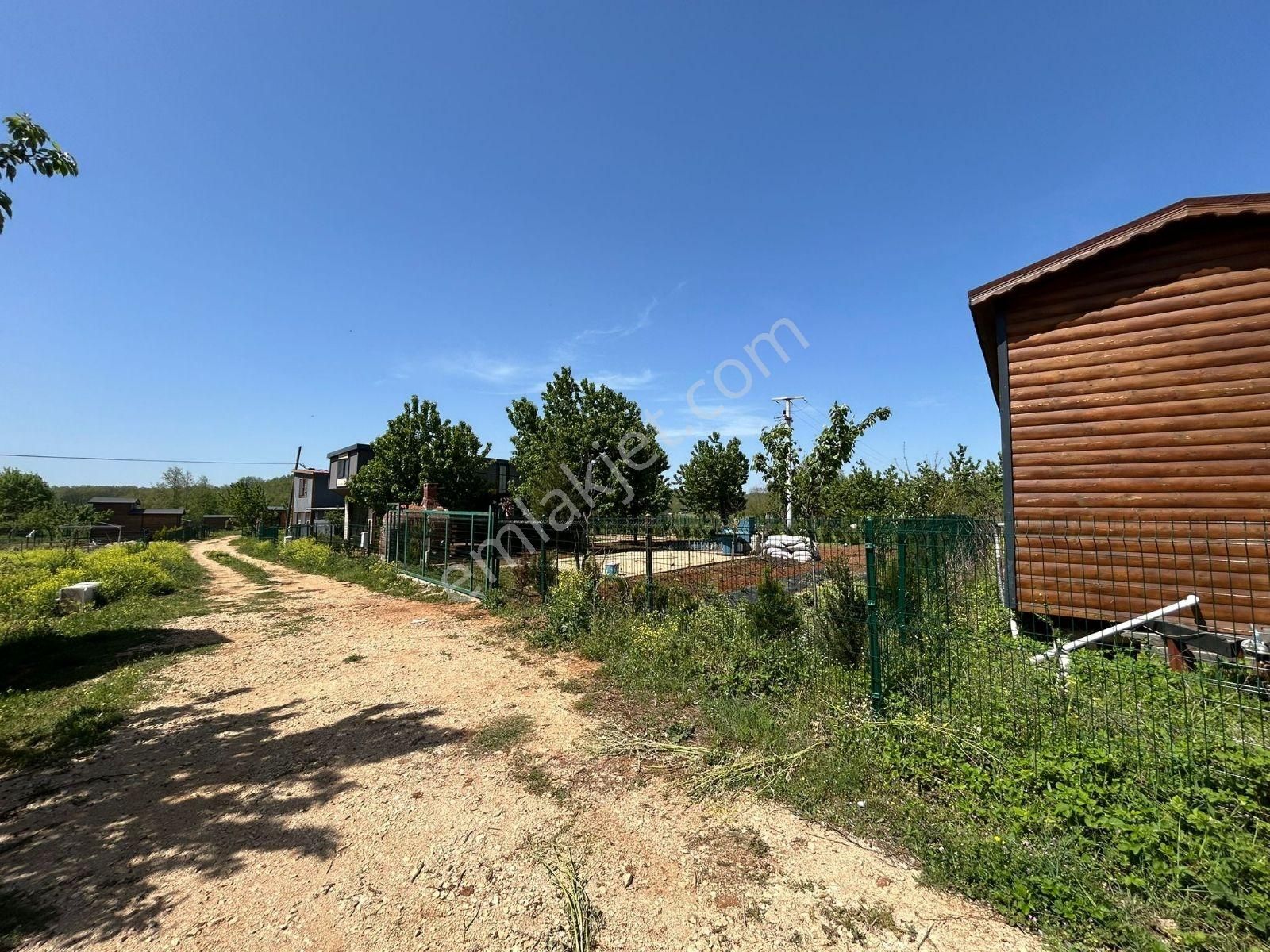 Beynil'den Nilüfer Unçukurun Da Satılık Hobi Bahçesi - Görsel 10