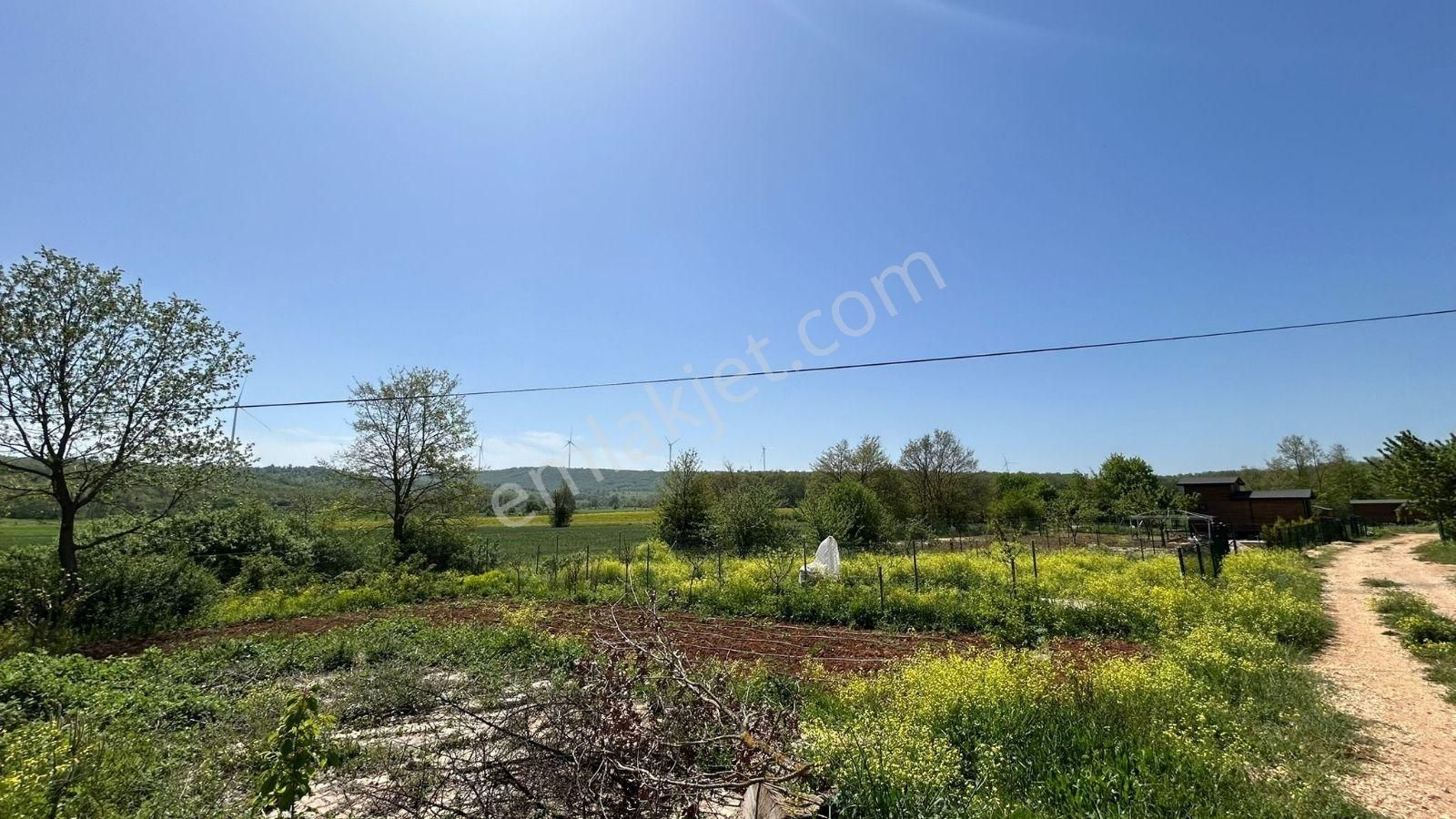 Beynil'den Nilüfer Unçukurun Da Satılık Hobi Bahçesi - Görsel 2