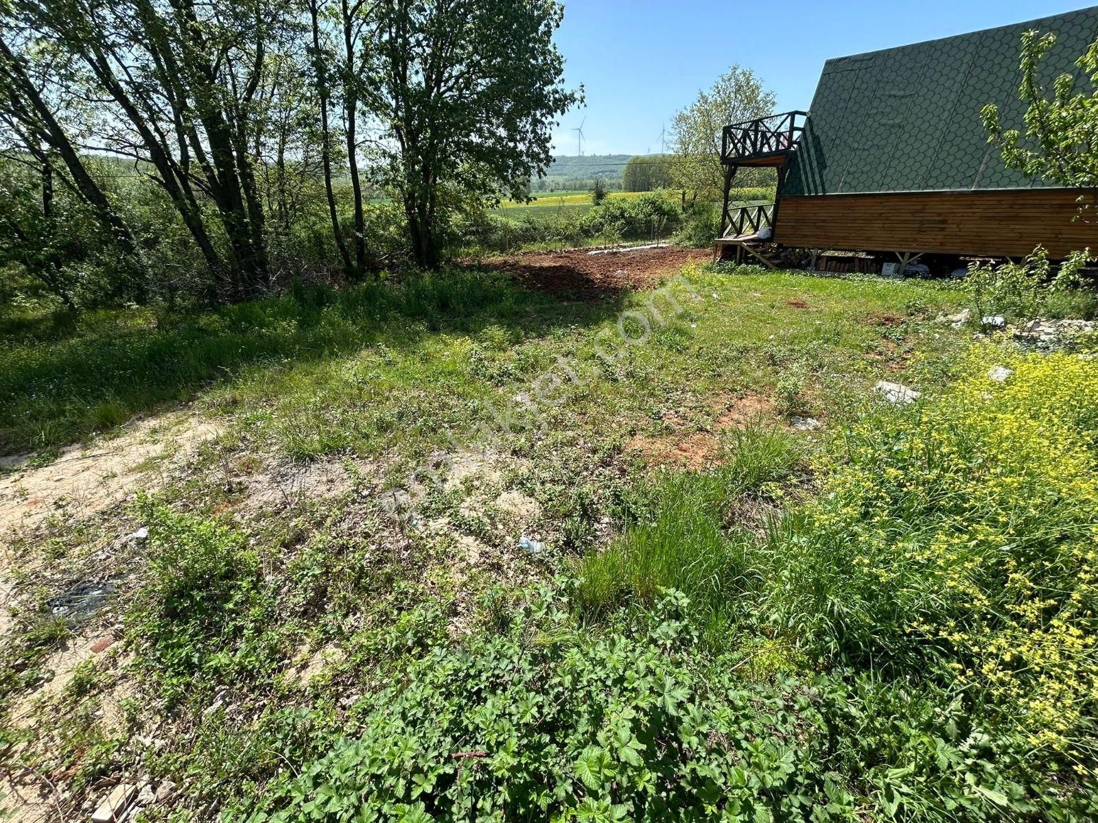 Beynil'den Nilüfer Unçukurun Da Satılık Hobi Bahçesi - Görsel 3