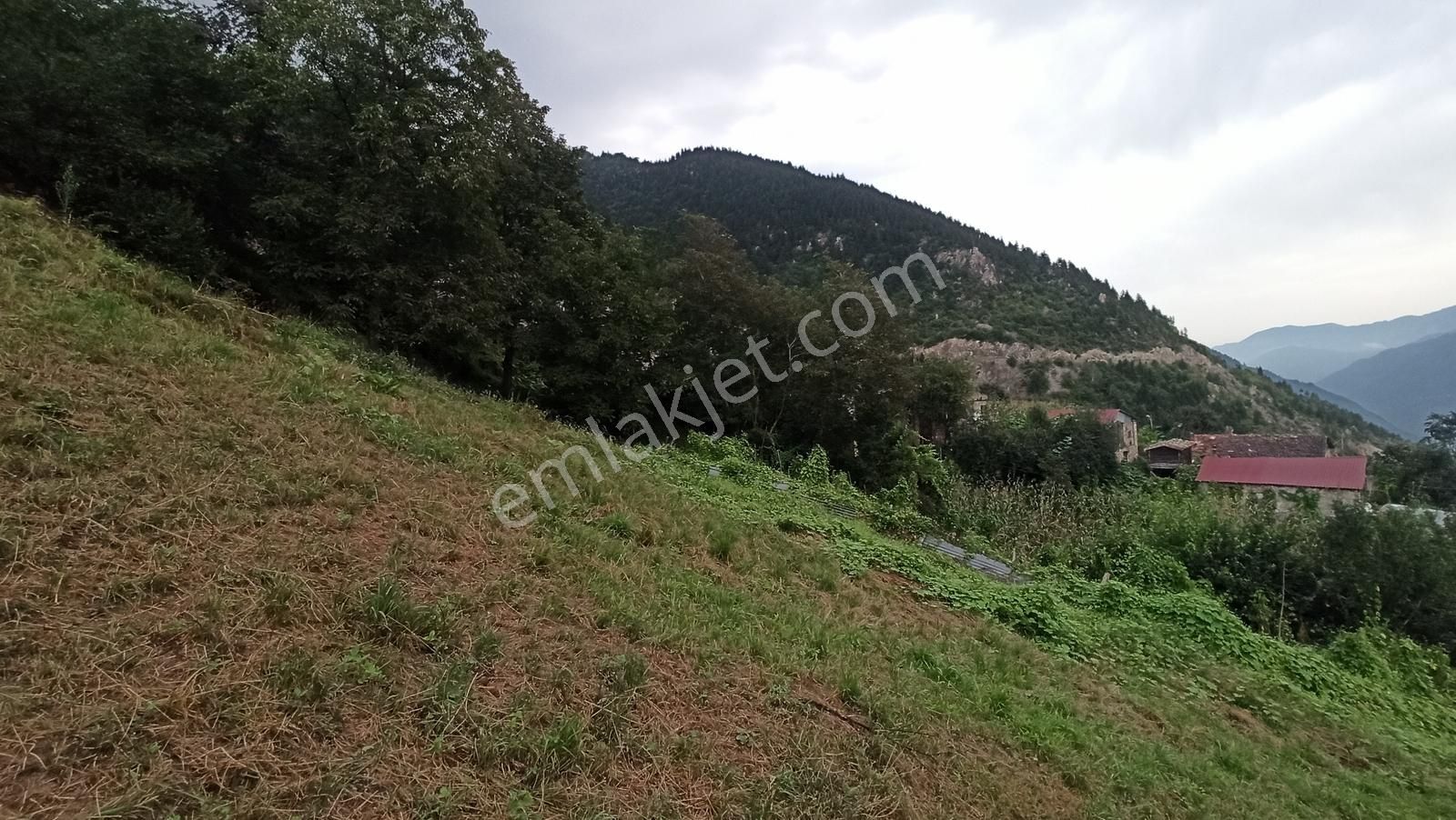 Trabzon Araklı Dağbaşı Köyü Mükemmel Manzaralı İmarlı Arsa - Görsel 3