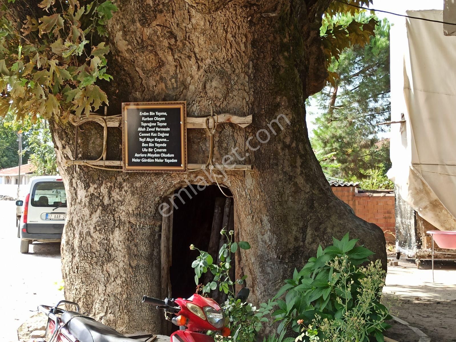 Çanakkale Akçakoyun , Kazdağlarının Eteğinde Turizm İmarlı Arsa - Görsel 7