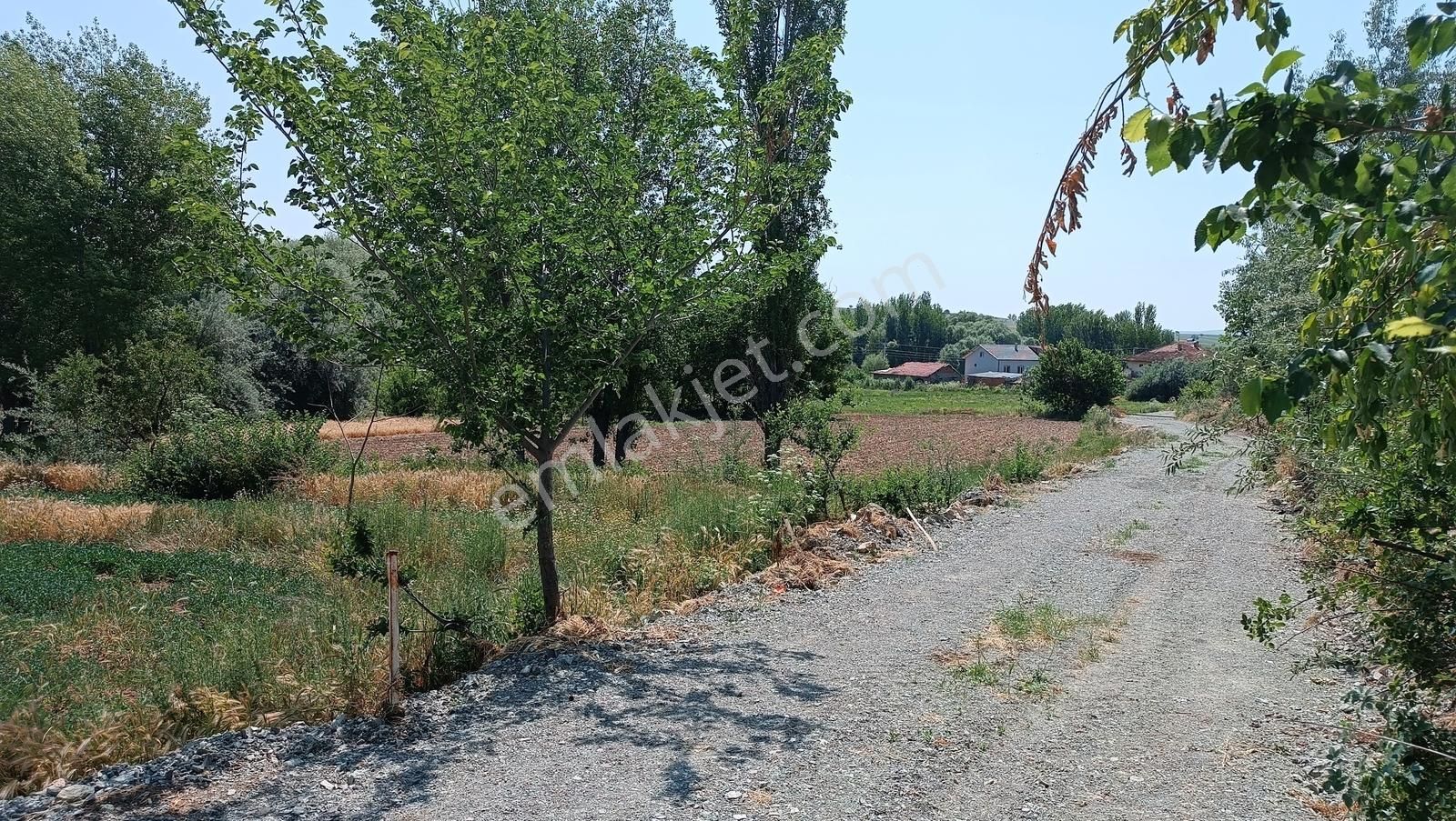 Yalvaç Kurusarı Yeşillikler İçerisinde İmarlı 520m2 Satılık Arsa - Görsel 17