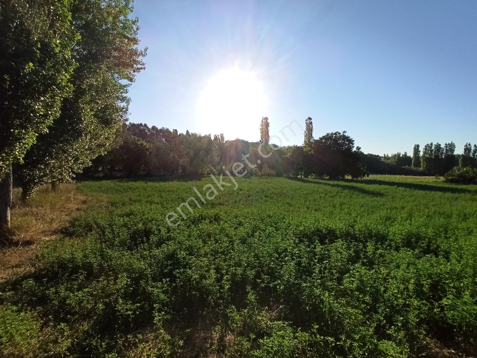 Yalvaç Kurusarı Yeşillikler İçerisinde İmarlı 520m2 Satılık Arsa - Görsel 21