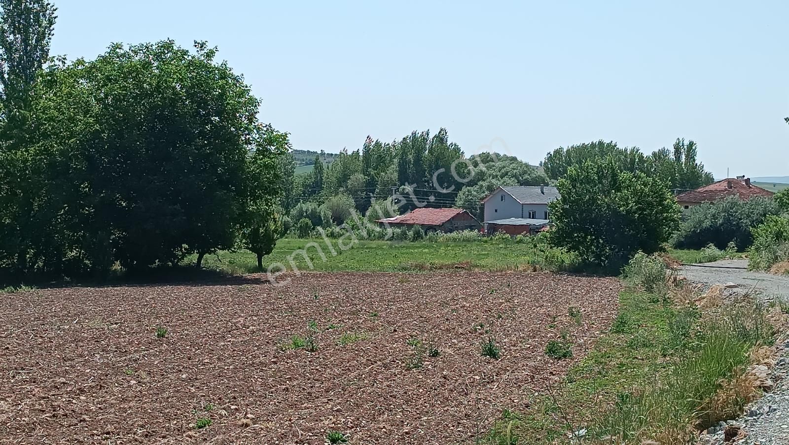 Yalvaç Kurusarı Yeşillikler İçerisinde İmarlı 520m2 Satılık Arsa - Görsel 11