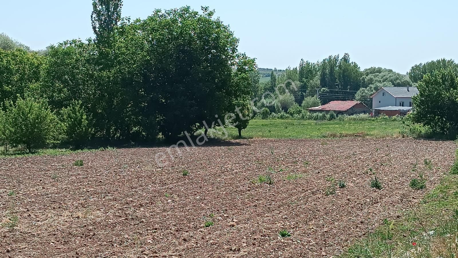 Yalvaç Kurusarı Yeşillikler İçerisinde İmarlı 520m2 Satılık Arsa