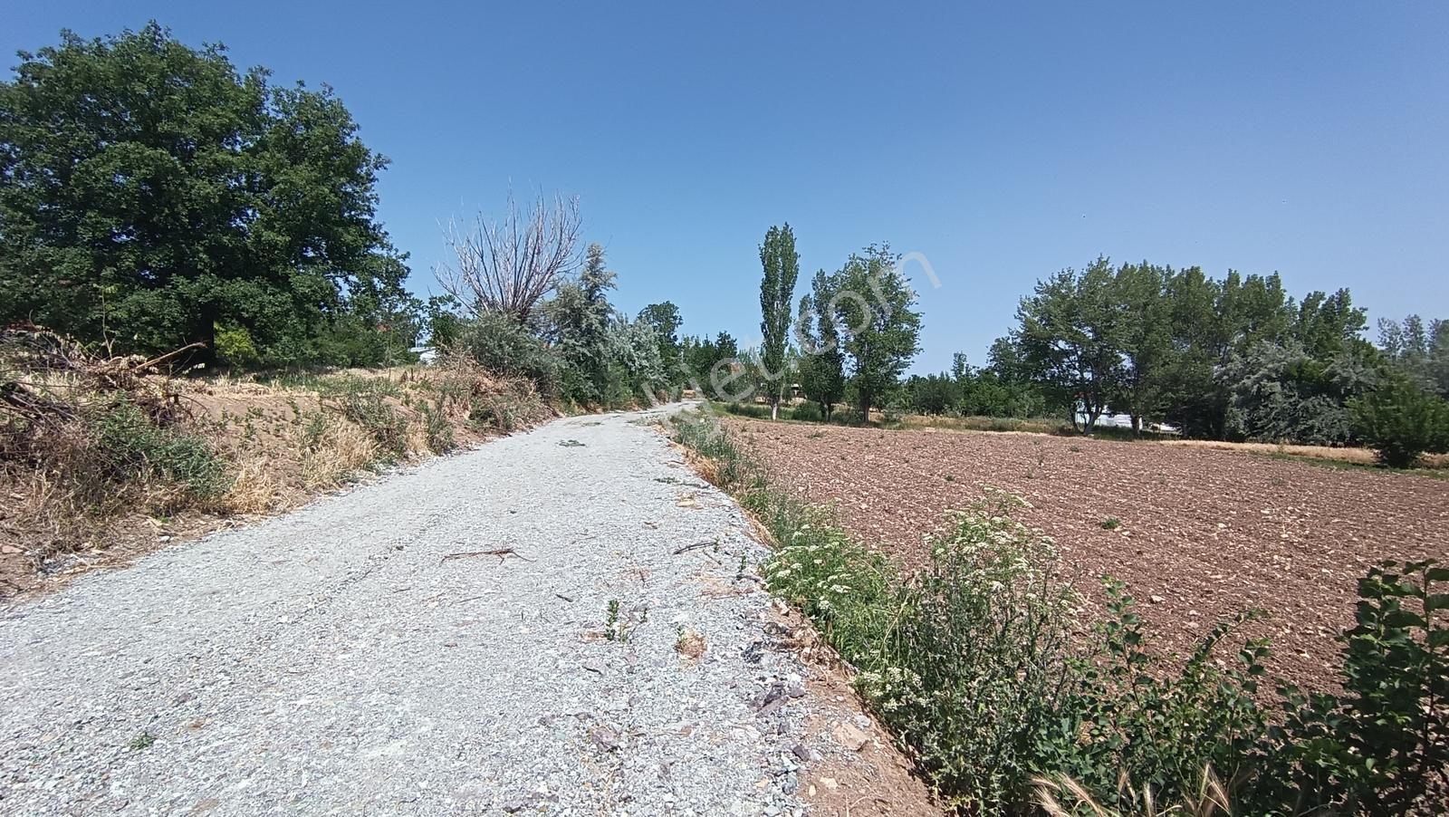 Yalvaç Kurusarı Yeşillikler İçerisinde İmarlı 520m2 Satılık Arsa - Görsel 12