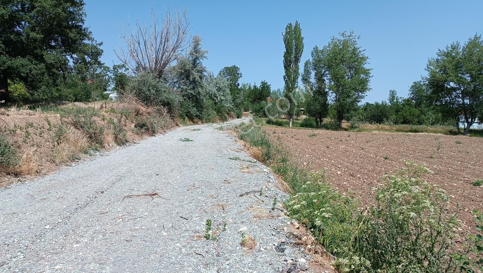 Yalvaç Kurusarı Yeşillikler İçerisinde İmarlı 520m2 Satılık Arsa - Görsel 5