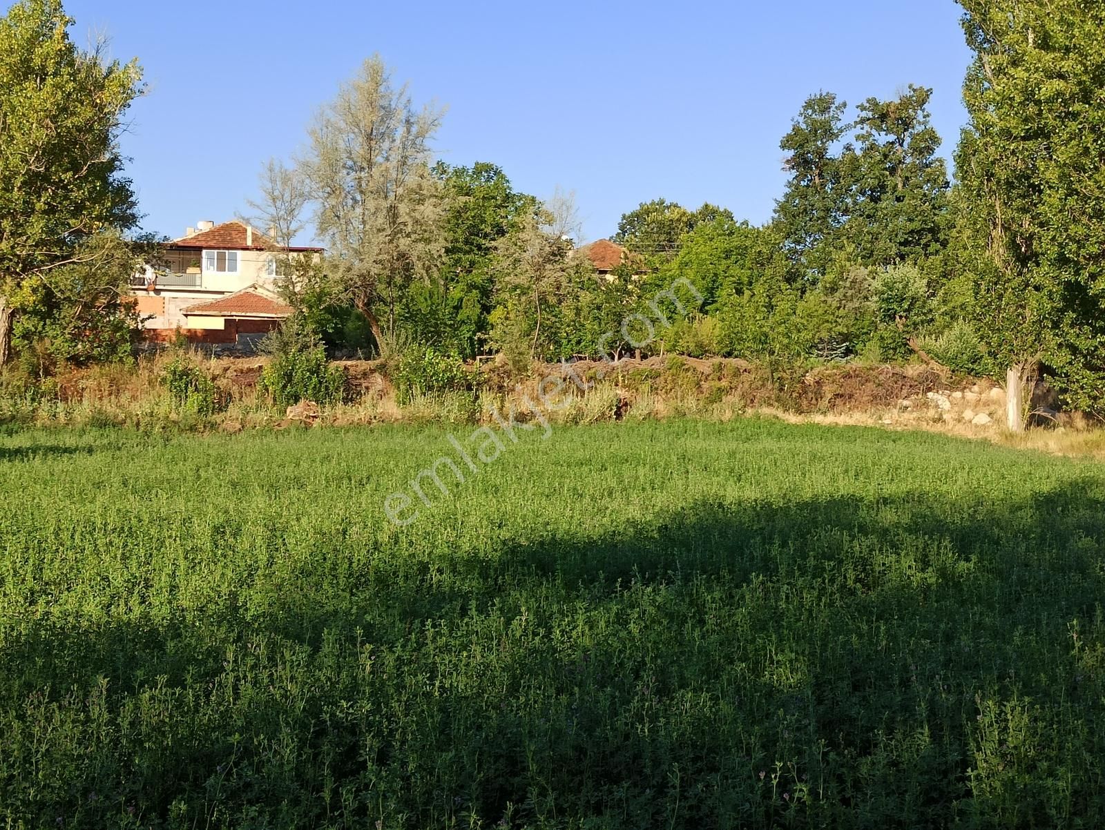 Yalvaç Kurusarı Yeşillikler İçerisinde İmarlı 520m2 Satılık Arsa - Görsel 15