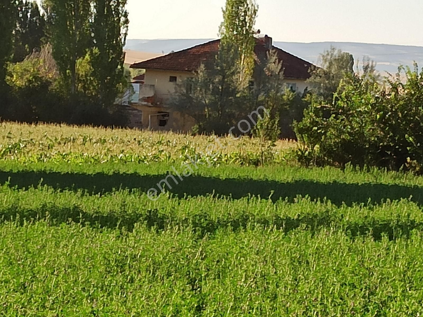 Yalvaç Kurusarı Yeşillikler İçerisinde İmarlı 520m2 Satılık Arsa - Görsel 25