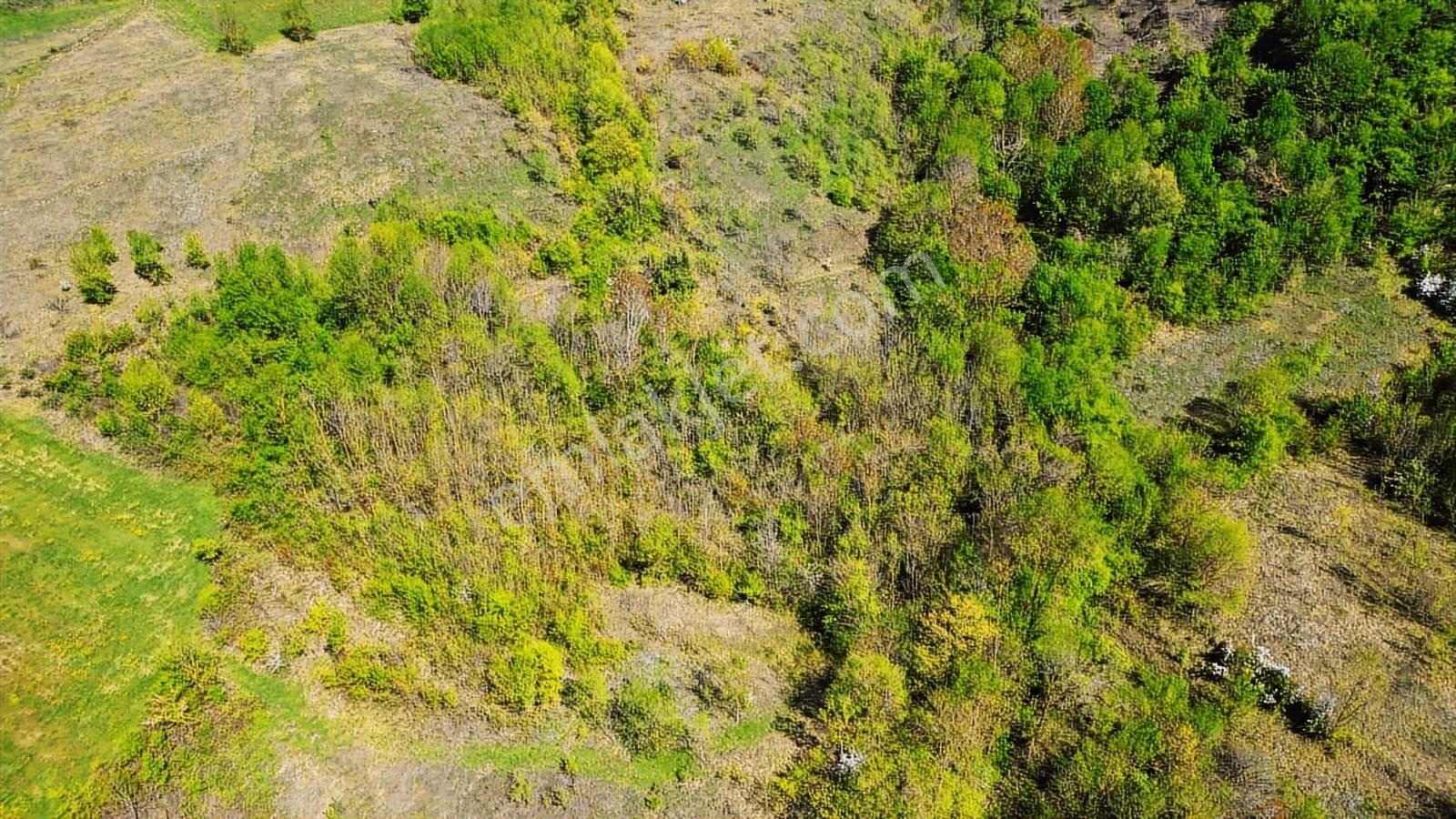 Kocaeli Kandıra Ahmethacılar Da Yatırımlık Tarla 825m2 - Görsel 16